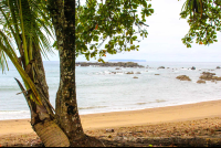 Beachview San Pedrillo Ranger Station
 - Costa Rica