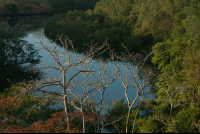        nosara river 
  - Costa Rica