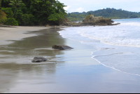        playa playitas manuel antonio view east 
  - Costa Rica