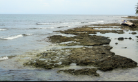        playa chiquita tide pool 
  - Costa Rica