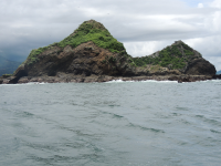 uvita beach attraction whale island 
 - Costa Rica