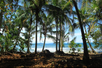 gandoca manzanillo wildlife refuge coastal forest 
 - Costa Rica