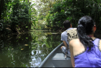        sloth sanctuary canoe ride 
  - Costa Rica