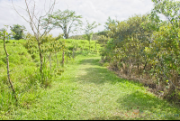 green grassed trail at  eruption site lookout point
 - Costa Rica