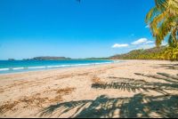 beach palm trees playa carrillo 
 - Costa Rica