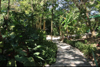 finca valverde path 
 - Costa Rica