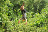 titi canopy tour tarzan swing 
 - Costa Rica