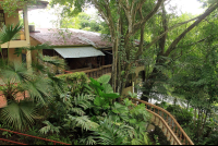 jungle beach hotel overview 
 - Costa Rica