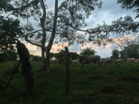 driving to tierra y fuego 
 - Costa Rica