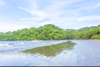        Playa Curu Stretch Right Curu Wildlife Refuge
  - Costa Rica