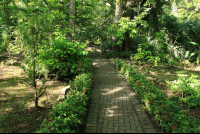        rainforest adventures gardens 
  - Costa Rica