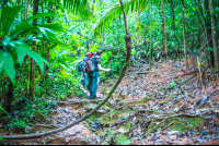 Hikers On The Los Patos Trail
 - Costa Rica