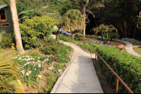 cloud forest lodge path 
 - Costa Rica