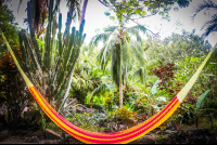 Hammock At Reception Encanta La Vida Matapalo Costa Rica
 - Costa Rica