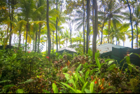 La Leona Coastal View From Tents Costa Rica
 - Costa Rica