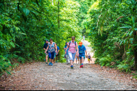 Sloth Trail Manuel Antonio National Park Sloth Trail
 - Costa Rica