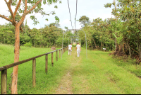 Guide Leading To Historic Site
 - Costa Rica