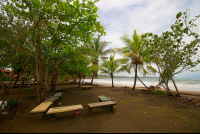        Benches Fronting Playa Manzanillo
  - Costa Rica