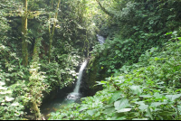        monteverde cloud forest reserve waterfall 
  - Costa Rica