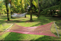 turtle beach lodge hammocks 
 - Costa Rica