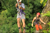 flight of the toucan tree climb combo tour tree climb halfway 
 - Costa Rica