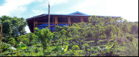        don juan coffee farm 
  - Costa Rica