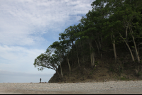 Man Standing By Chora Island Cliff
 - Costa Rica