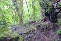 rocky trail arenal volcano  eruption site lookout point
 - Costa Rica