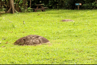 Finca  Sphere Park Two Stones Aligned
 - Costa Rica