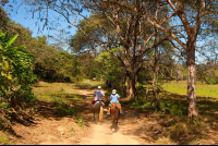        Horses To Curu Edit
  - Costa Rica