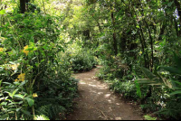        Monteverde train tour hiking path 
  - Costa Rica