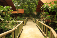 anhinga lodge path 
 - Costa Rica