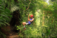 safari canopy tour girl 
 - Costa Rica