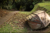        La Selva Old Boat
  - Costa Rica