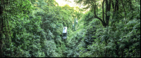        rainforest adventures aerial tram top 
  - Costa Rica