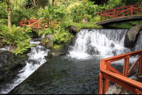        tabacon waterfall near top of the river 
  - Costa Rica