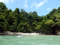 jungle coast jets hidden cove 
 - Costa Rica