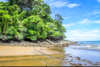        pinuelas beach attraction beach flora 
  - Costa Rica