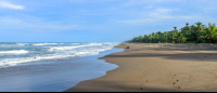 tortuguero national park attraction beach 
 - Costa Rica