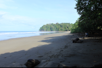        hermosa beach attraction dominical people 
  - Costa Rica