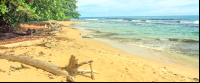 playa chiquita gold sand 
 - Costa Rica