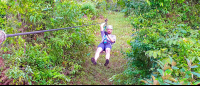 Man Zip Linning On Corcovado Canopy Tour
 - Costa Rica