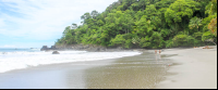        playa playitas manuel antonio shoreline 
  - Costa Rica