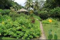 costa paraiso garden 
 - Costa Rica