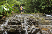 bamboo forest moutain bike tour walking upstream 
 - Costa Rica