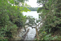 punta uva tidal gorge 
 - Costa Rica