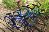 kayas place bikes 
 - Costa Rica