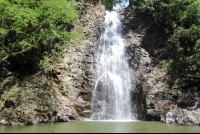 Montezuma Waterfall Front View
 - Costa Rica