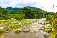        Grande De Orosi River
  - Costa Rica