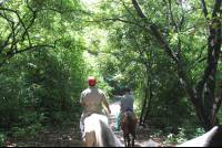 horseback tour punta islita 
 - Costa Rica